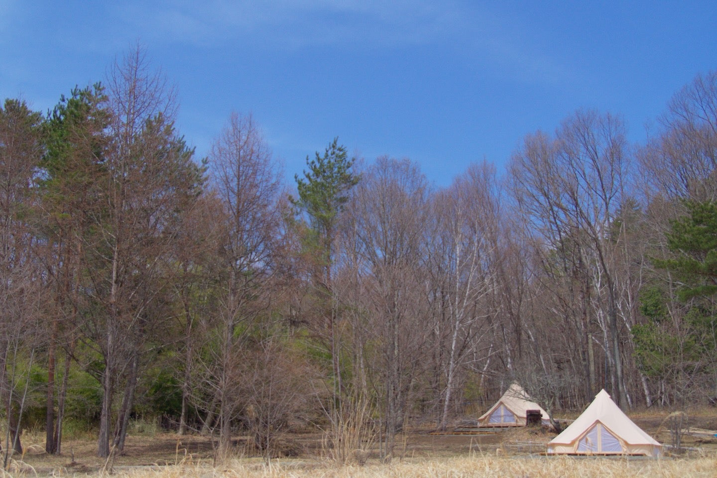 ザ ノマド 八ヶ岳／画像提供：THE NOMAD HOTELS & OUTDOORS