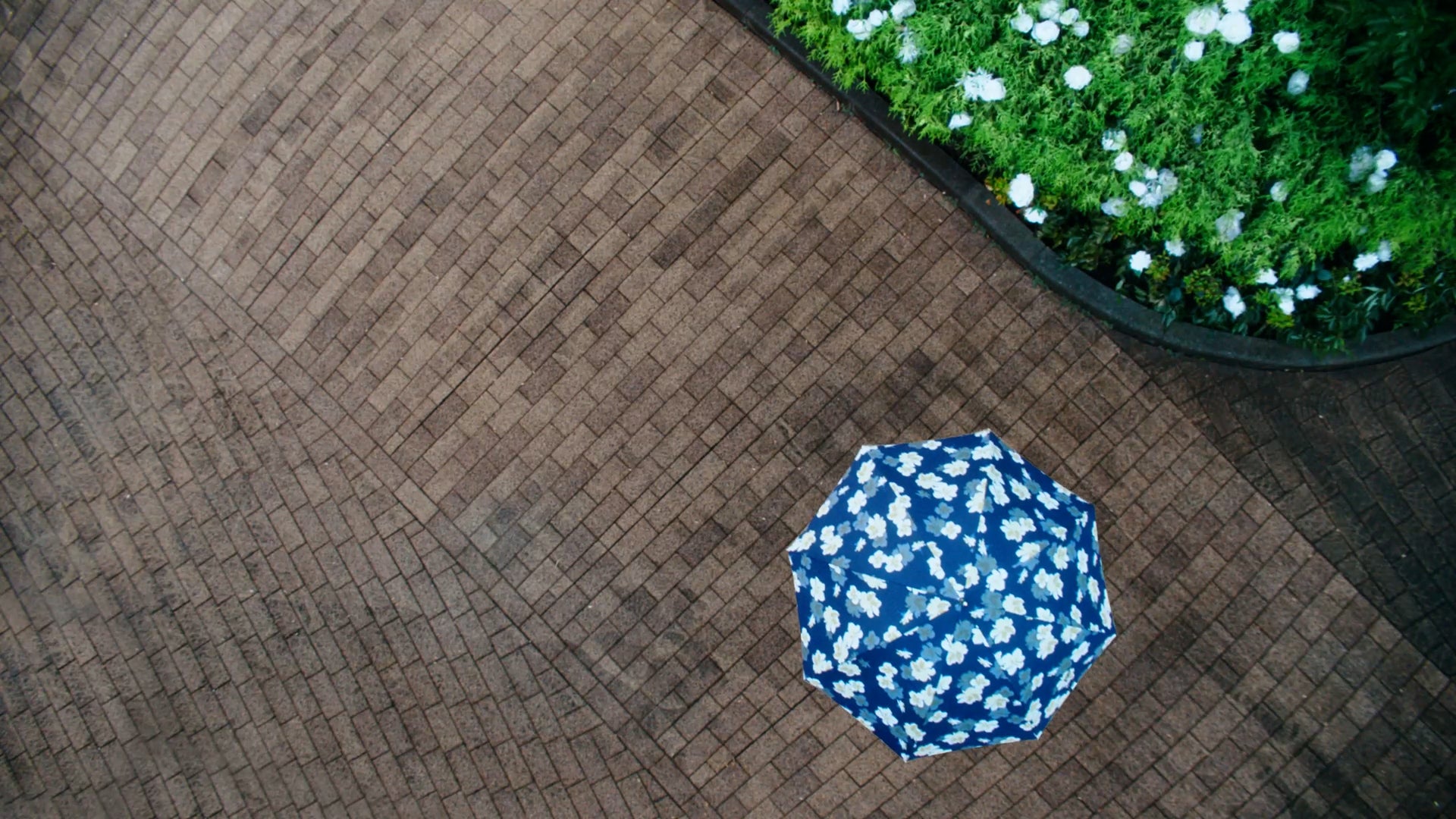 南沙良（提供写真）