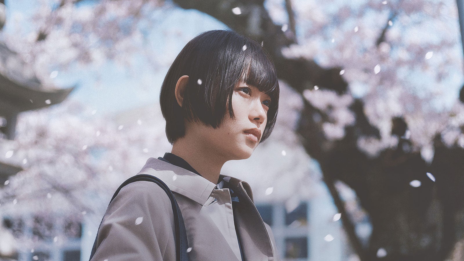 『朽ちないサクラ』（C）2024 映画「朽ちないサクラ」製作委員会