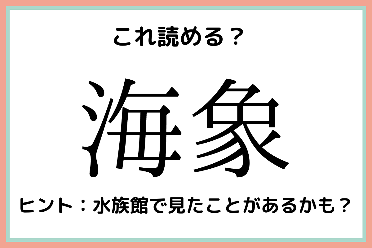 海象 うみぞう 読めたらスゴイ 難読漢字 4選 モデルプレス