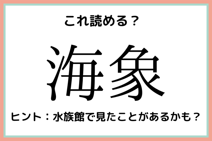 海象 うみぞう 読めたらスゴイ 難読漢字 4選 モデルプレス