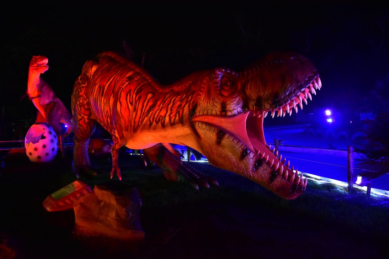 伊豆高原グランイルミ／画像提供：伊豆シャボテン公園