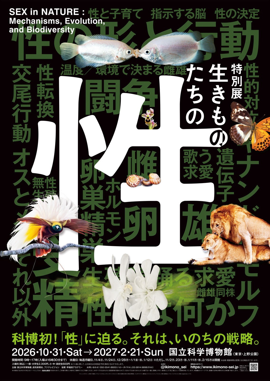 メインビジュアル／提供画像