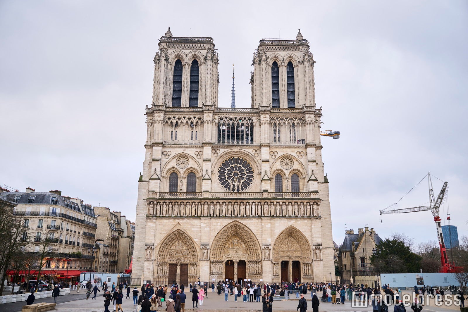 ノートルダム大聖堂（C）モデルプレス