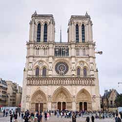 ノートルダム大聖堂(C)モデルプレス