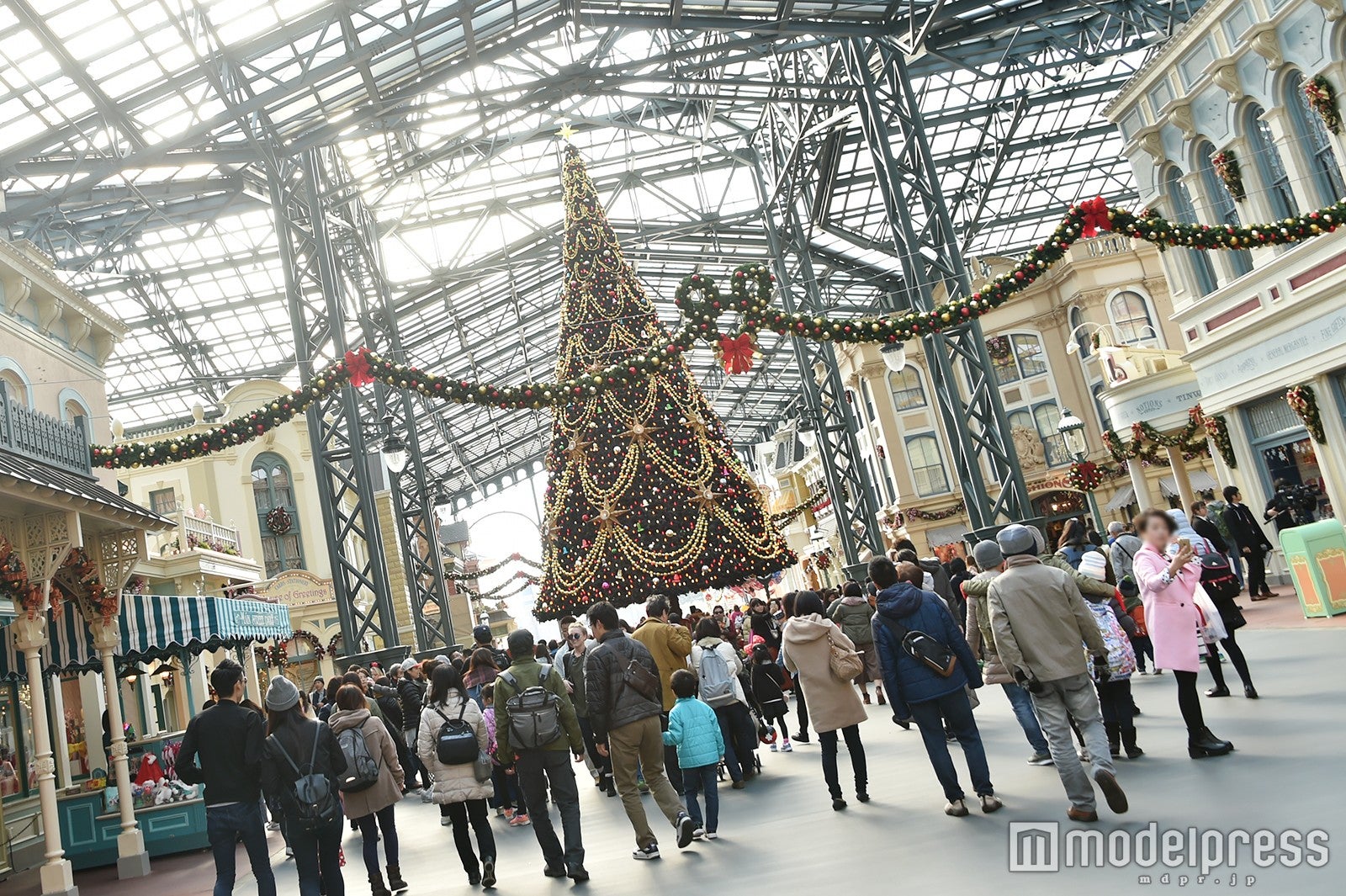 ツリー（C）モデルプレス