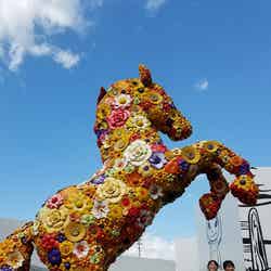 十和田市現代美術館(C)TBS