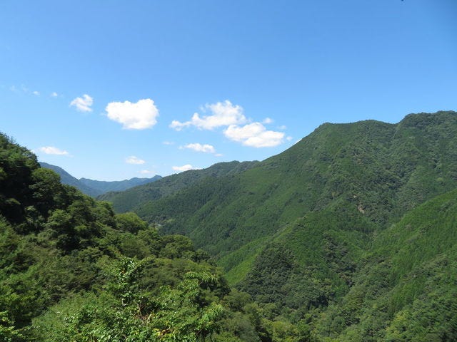 大自然にある秘密基地！奈良の山奥にある「子どもと行きたい」おでかけスポット