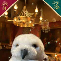 クリスマス気分がさらに上がるARエフェクトがスタジオツアー東京の公式Instagramに登場/提供画像