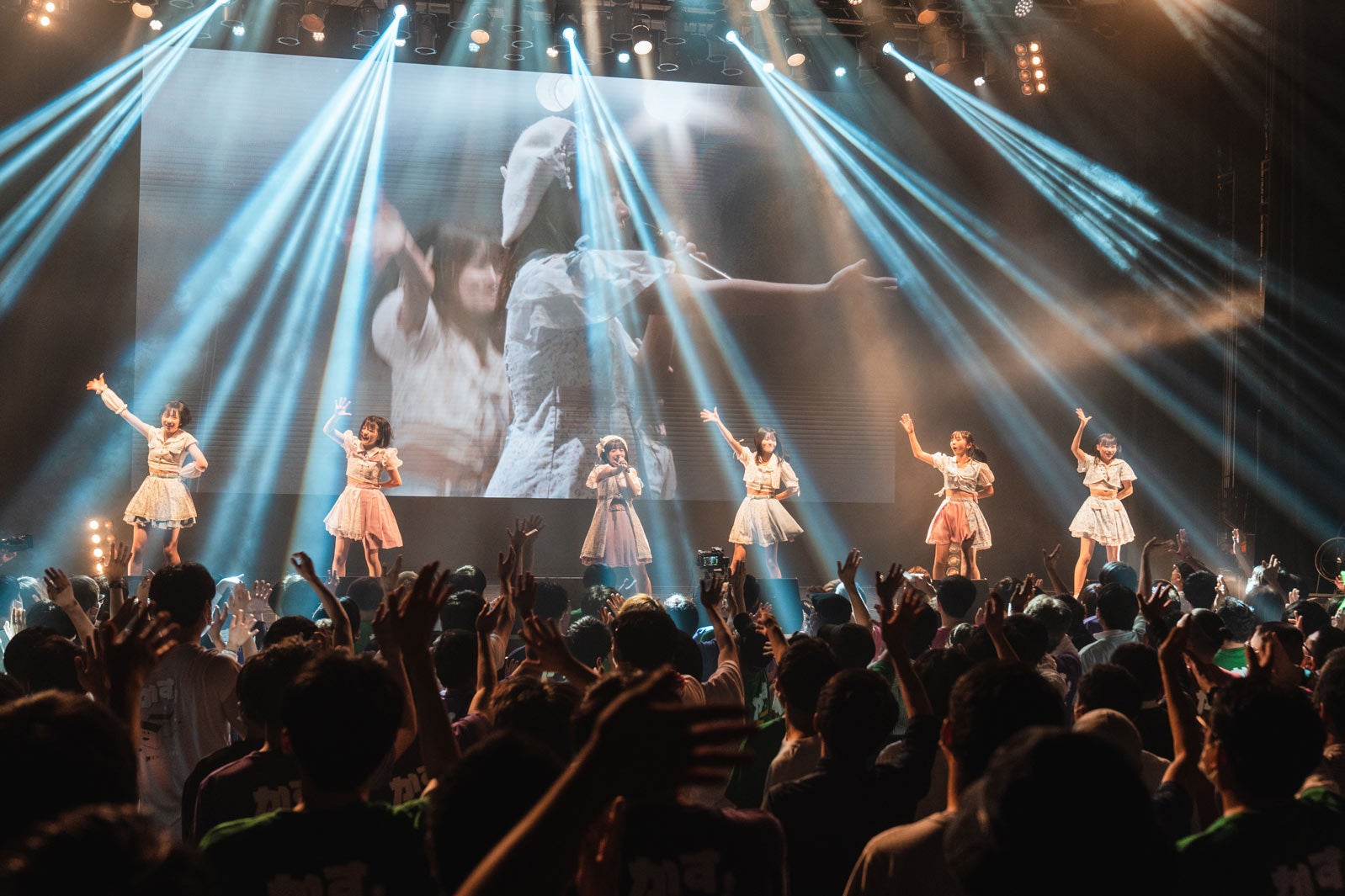 かすみ草とステラ／撮影：真島洸 （提供写真）