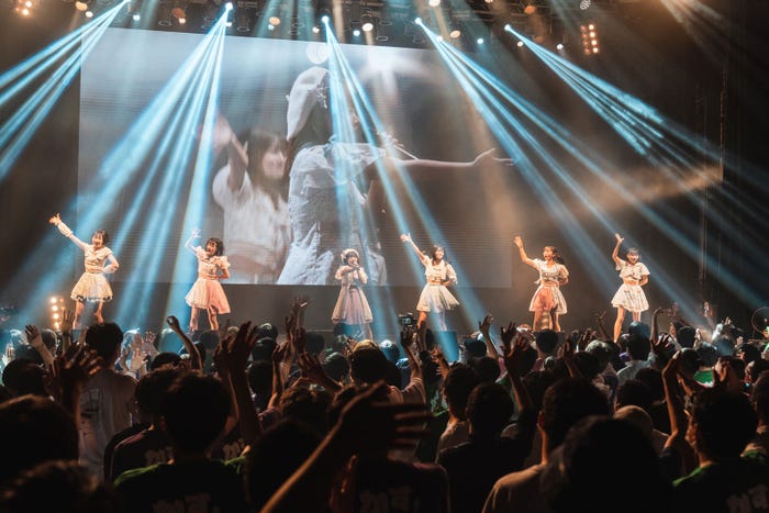 かすみ草とステラ/撮影:真島洸 (提供写真)