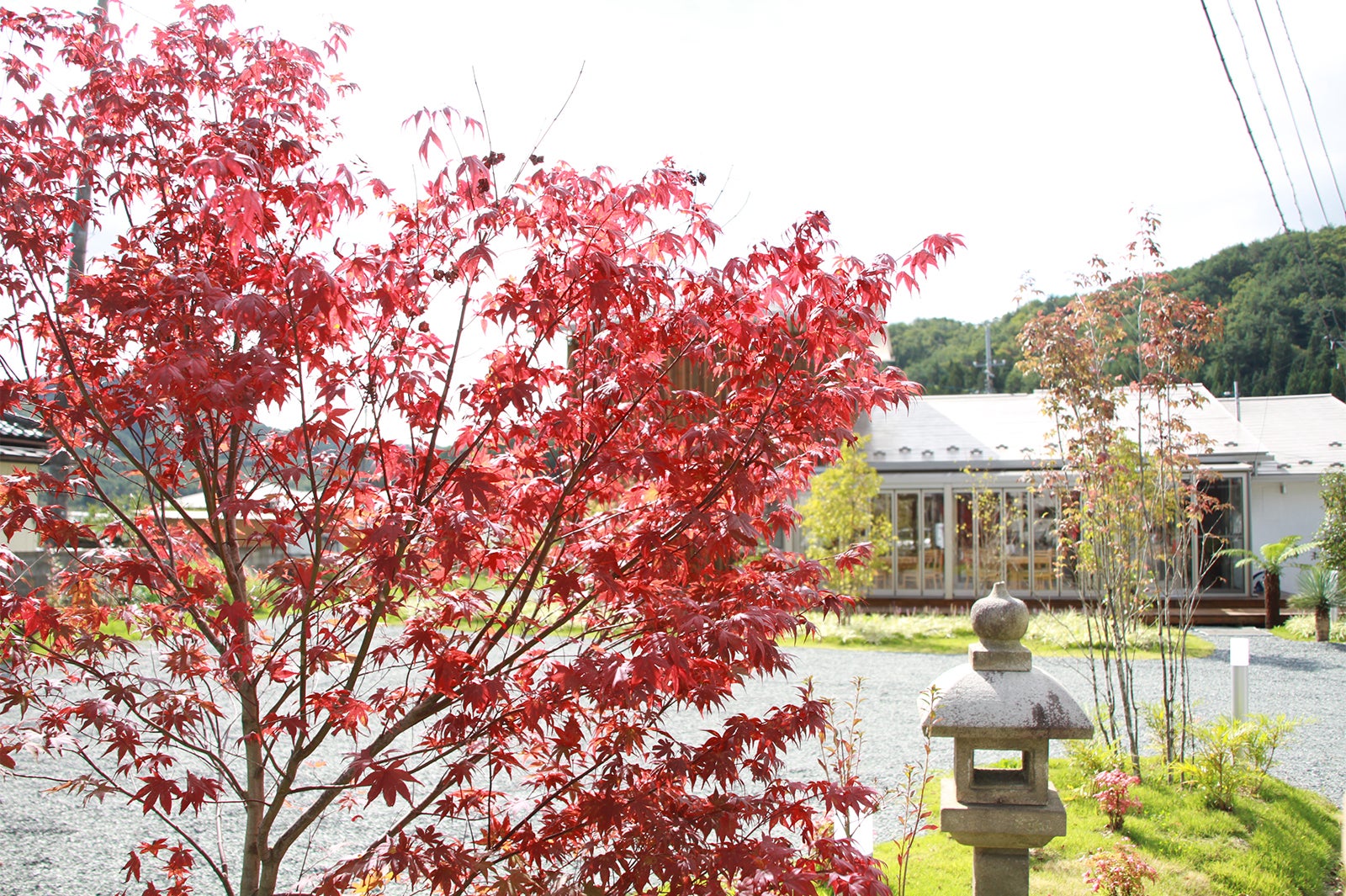 Cafe Amazon／画像提供：CIN GROUP