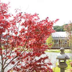 Cafe Amazon/画像提供:CIN GROUP