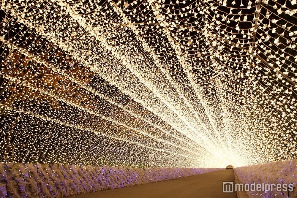 200ｍ光のトンネル／画像提供：長島観光開発