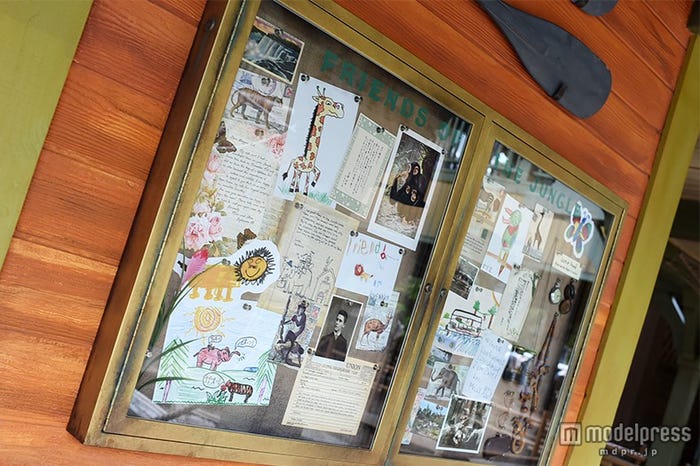 手紙や忘れ物が展示される/「ジャングルクルーズ:ワイルドライフ・エクスペディション」