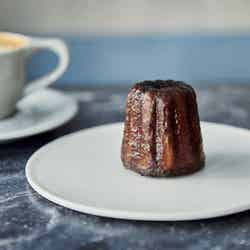 アッシュ/提供画像