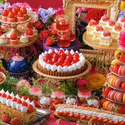 スーパースイーツビュッフェ2023~ホテルでいちご狩り~/提供画像