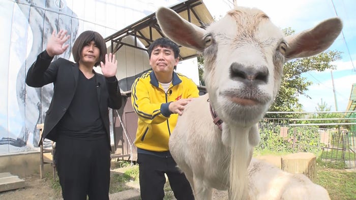 ランジャタイ(C)TBS