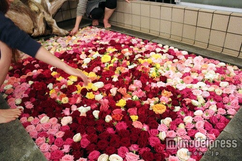 浴槽一面に薔薇の花を浮かべた薔薇風呂