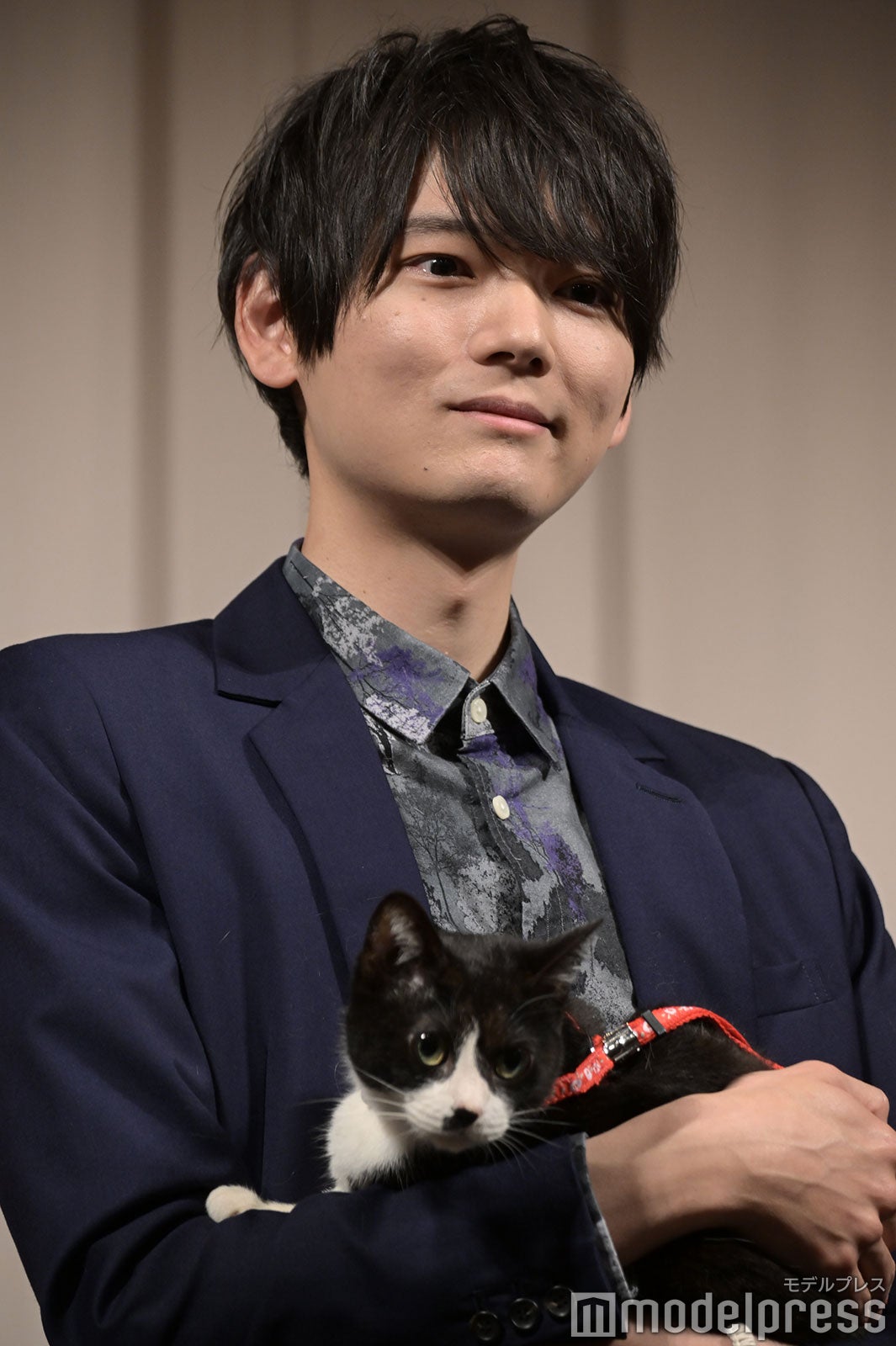 古川雄輝（C）モデルプレス