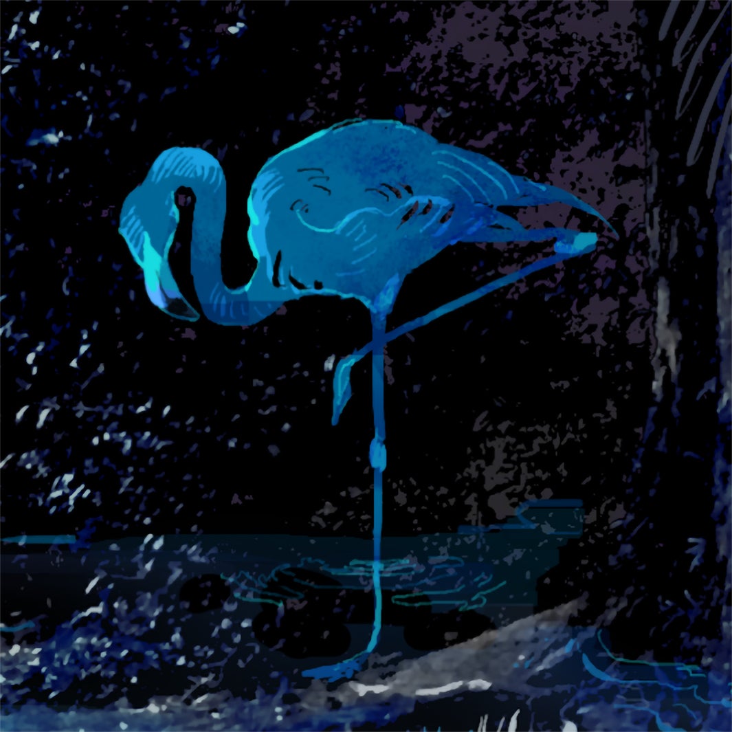 syudou（提供写真）