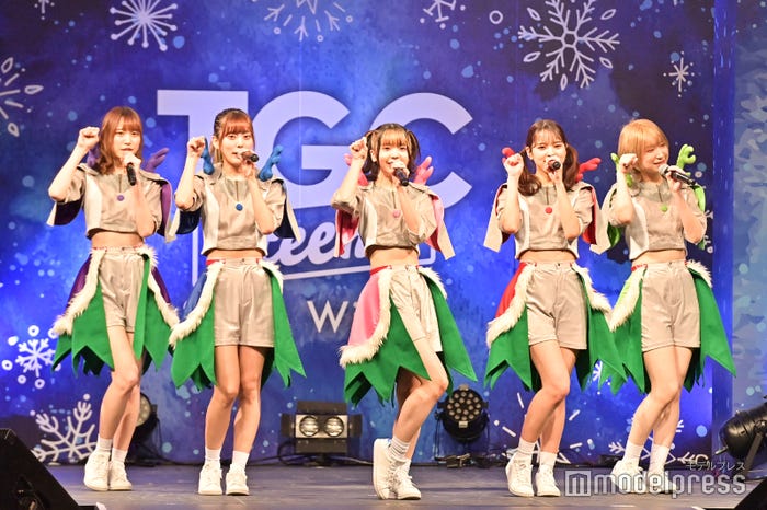 豆柴の大群(C)モデルプレス