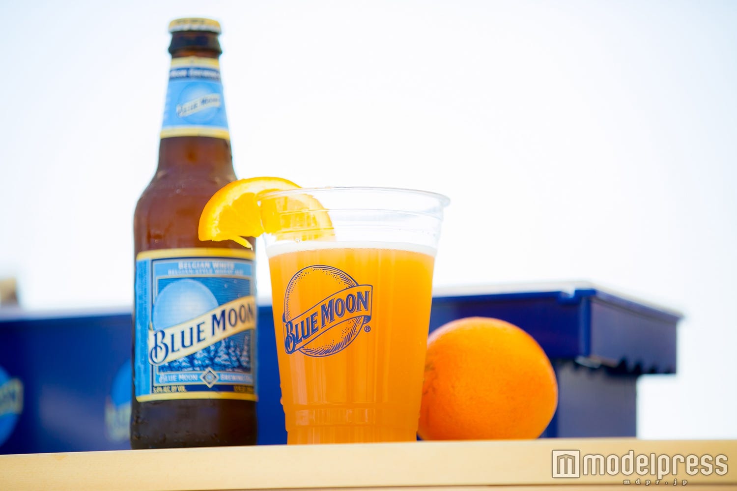 ビール好き集合!最高の音楽×ビールの“クラフトロックフェス”で楽しくほろ酔いに