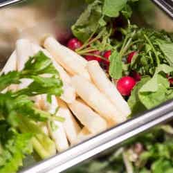 アロハサラダ 原宿/画像提供:アロハサラダ 原宿