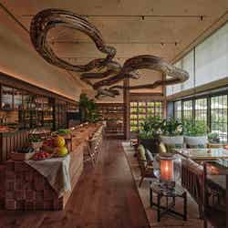 パティーナ大阪(提供写真)