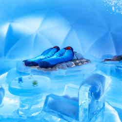 氷のホテル／画像提供：星野リゾート