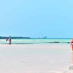 日本から行きやすい「チェジュ島」