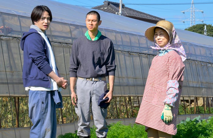 菊池風磨、葵揚、大島さと子『ゼイチョー ~「払えない」にはワケがある~』第5話より(C)日本テレビ