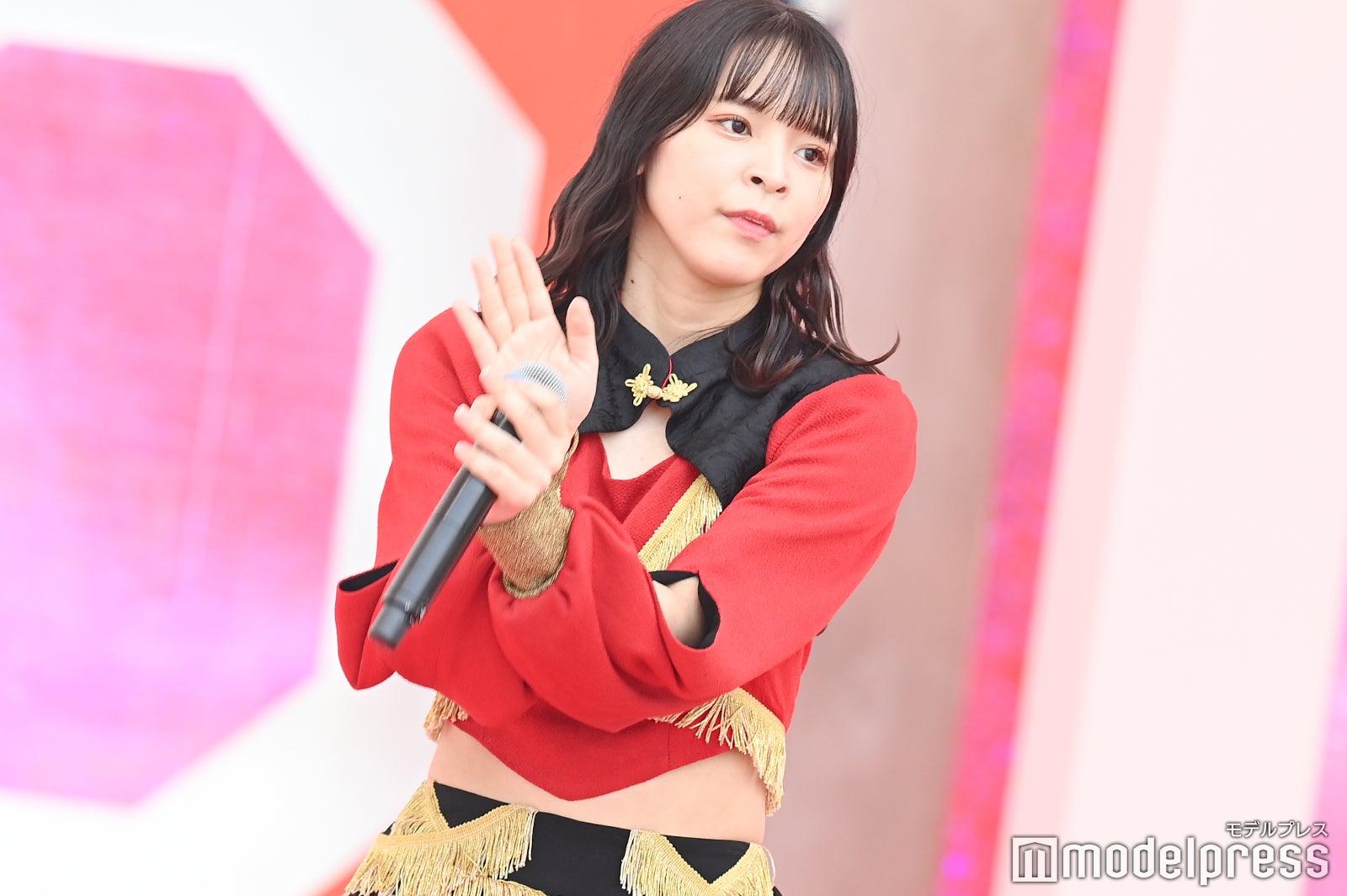 豆柴の大群（C）モデルプレス