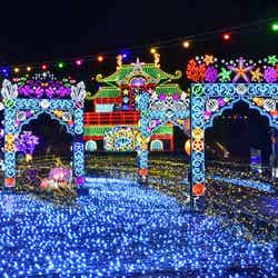 伊豆高原グランイルミ過去の様子/提供画像