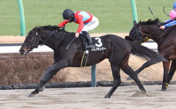 【ポルックスS】カゼノランナー 好位から快勝 西村淳「未勝利戦以来の騎乗だったが、パワーアップしていた」