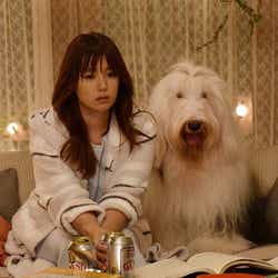 雅志 永山絢斗 順子 深田恭子 にバックハグで約年越しの告白 胸キュンシーン炸裂の予告にも キュン死に確定 の声 初めて恋をした日に読む話 モデルプレス 雅志 永山絢斗 順子 深田恭子 にバックハグで約年越しの告白 胸キュンシーン炸裂の予告にも キュン死に確定 の声 初めて恋をした日に読む話 モデルプレス
