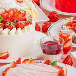IMAIHAMA STRAWBERRY GARDEN ~スイーツ&ランチブッフェ~/画像提供:東急ホテルズ