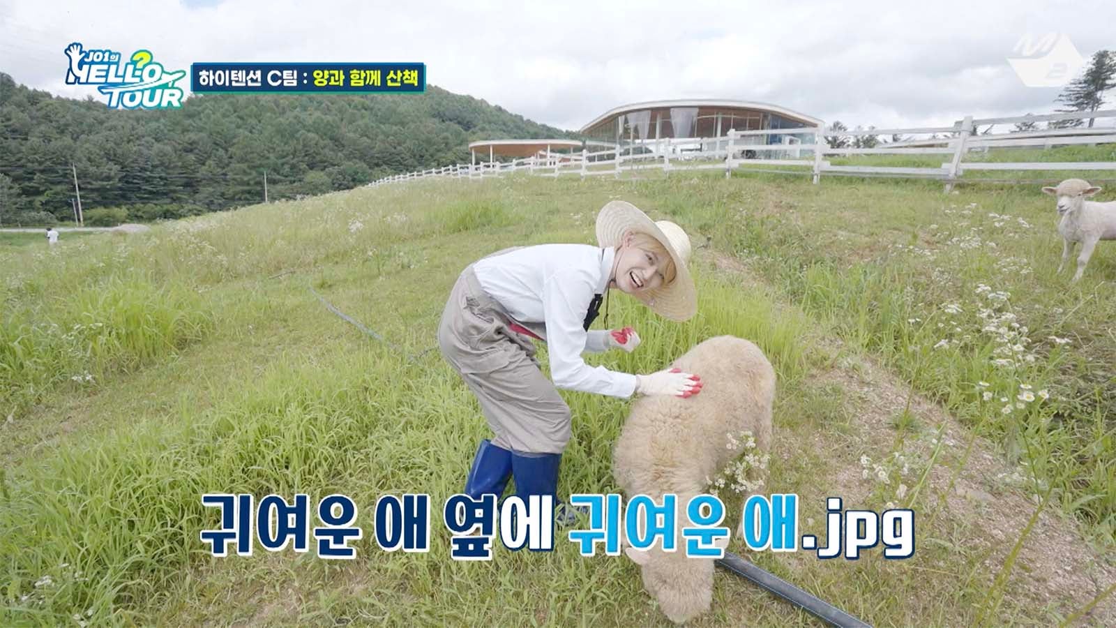 白岩瑠姫「JO1 HELL？O TOUR」（提供写真）