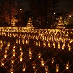 聖なる夜を幻想的にライトアップ!「クリスマス&キャンドルナイト」が多摩川で開催/画像提供:京王電鉄