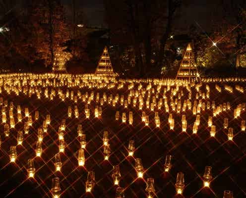 聖なる夜を幻想的にライトアップ!「クリスマス&キャンドルナイト」が多摩川で開催