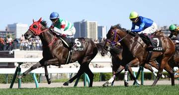 フレイコンは京王杯2歳Sへ 鞍上はマーカンド