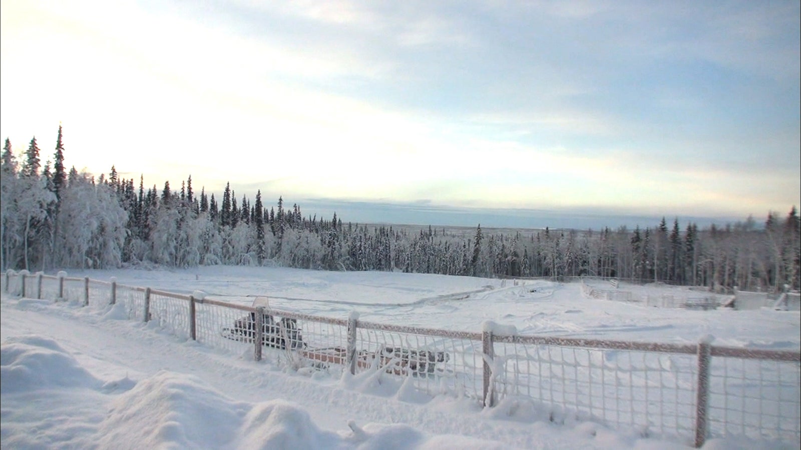 番組の模様（画像提供：毎日放送）