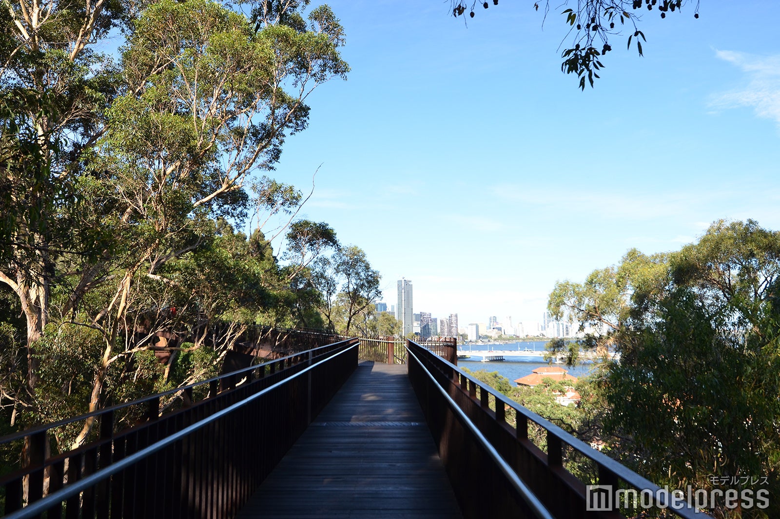 パース（C）モデルプレス