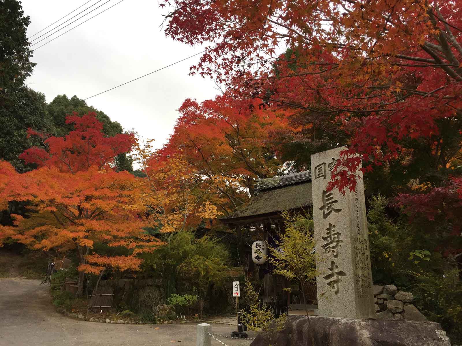 長寿寺／画像提供：公益社団法人びわこビジターズビューロー