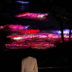 チームラボ《海が立ち上がる時花が咲く - 五浦の海》(C)チームラボ