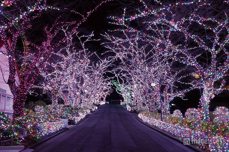 ジュエリー・ロード／画像提供：よみうりランド