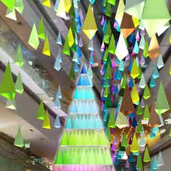 表参道ヒルズのクリスマスイルミ、100色のツリーの森で幻想空間に/画像提供:表参道ヒルズ