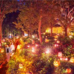 花の街の大収穫祭~光り輝くハロウィーンナイト~/画像提供:ハウステンボス