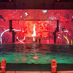 赤の世界/画像提供:横浜八景島