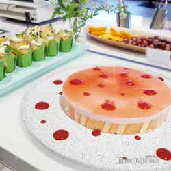 グランドメルキュール八ヶ岳リゾート&スパ(C)モデルプレス